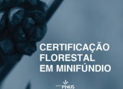 Certificação Florestal em Minifúndio