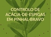 Controlo de acácia-de-espigas em pinhal-bravo