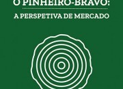 Valorizar o Pinheiro-bravo – A Perspetiva de Mercado