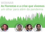 Webinar – As florestas e a crise que vivemos