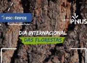 Escoteiros de Portugal e Centro Pinus celebram Dia Internacional das Florestas