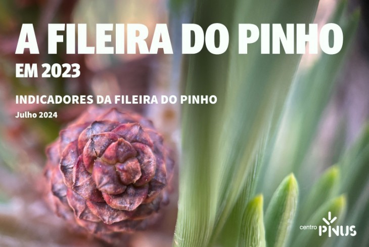 Atualização anual dos Indicadores da Fileira do Pinho