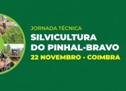 Comunicações – Jornada Técnica ”Silvicultura do Pinhal-Bravo”