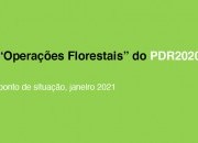 Execução do PDR2020 “Florestal”