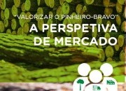 PINUS WEBCAST “VALORIZAR O PINHEIRO-BRAVO: A PERSPETIVA DE MERCADO”