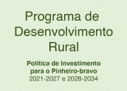 Política de investimento para o Pinheiro-Bravo