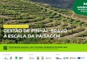 Visita de campo: Gestão de pinhal-bravo à escala da paisagem