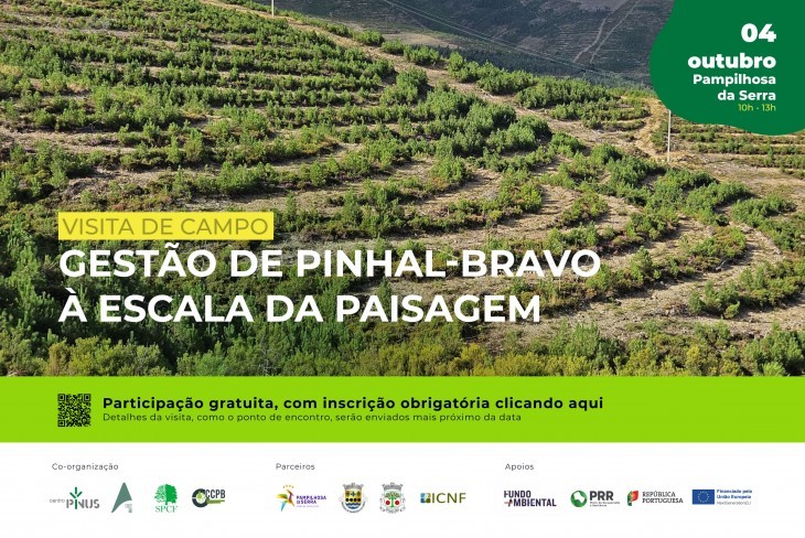 Visita de campo: Gestão de pinhal-bravo à escala da paisagem