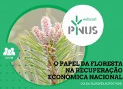 PINUS Webcast “O papel da floresta na recuperação económica nacional”
