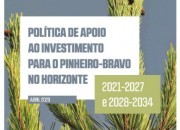 Política de Apoio ao Investimento para o Pinheiro-bravo no Horizonte 2021-2027 e 2028-2034